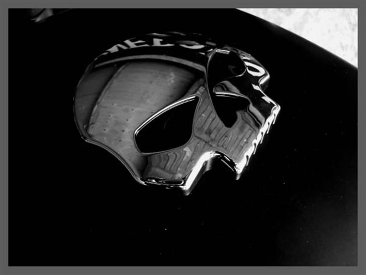 Harley Davidson 883 Iron - Nyt tankdæksel billede 7