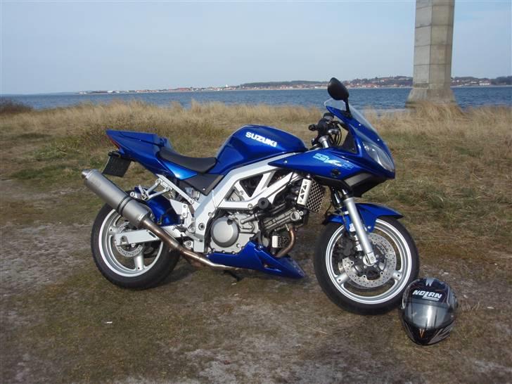 Suzuki SV 650 S billede 6