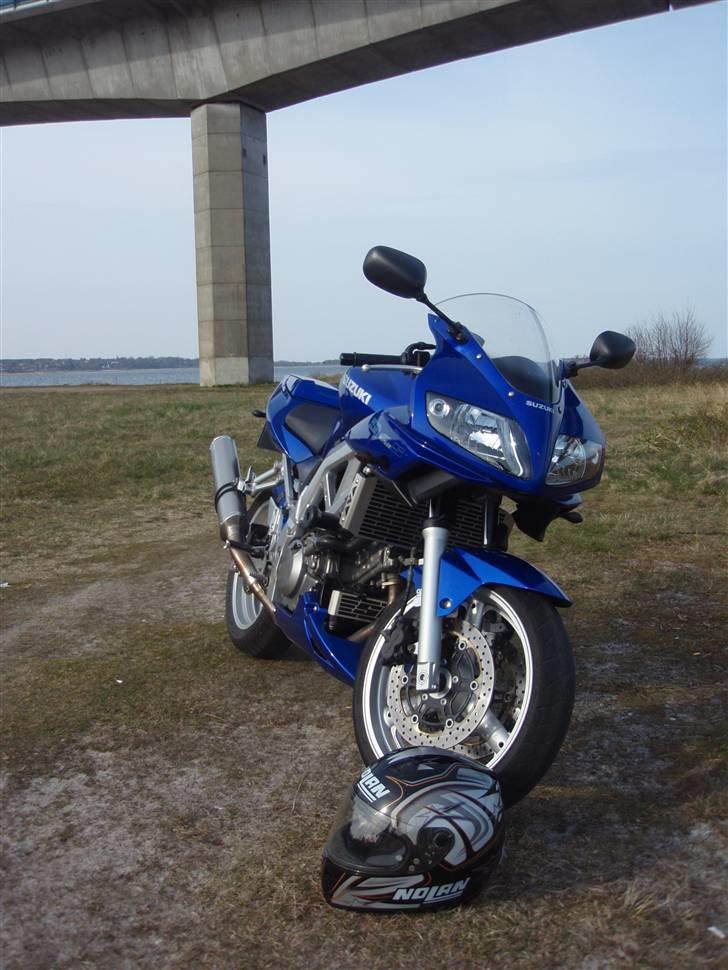 Suzuki SV 650 S billede 7