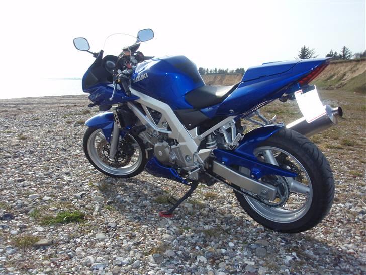 Suzuki SV 650 S billede 12