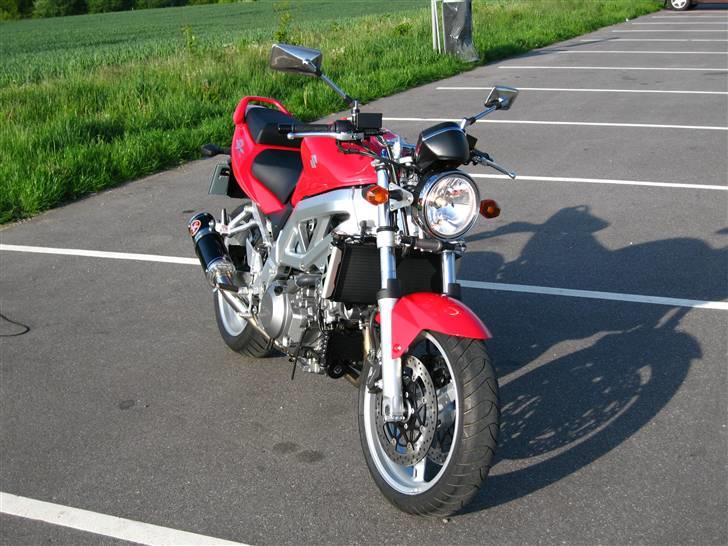 Suzuki SV1000 *SOLGT* - 2007: Frisk fra forhandleren billede 8