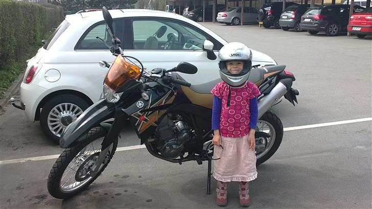 Yamaha XT660R billede 3