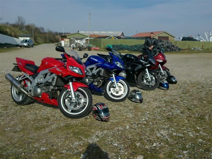 Suzuki SV 1000 S K4 billede 13