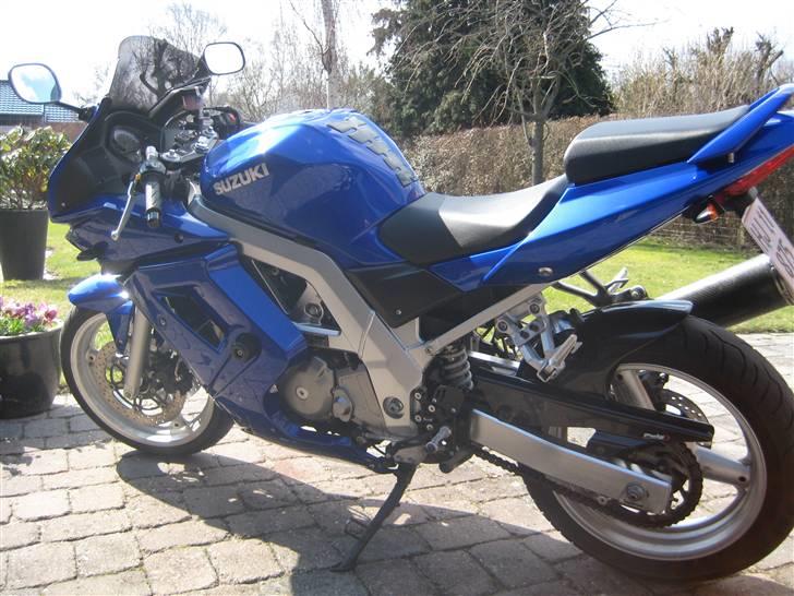 Suzuki SV 650 S "Valentina" Solgt billede 1