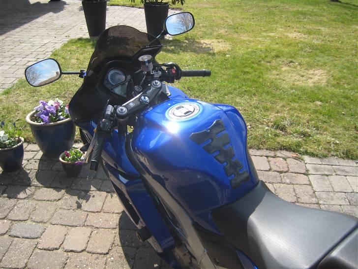 Suzuki SV 650 S "Valentina" Solgt billede 2