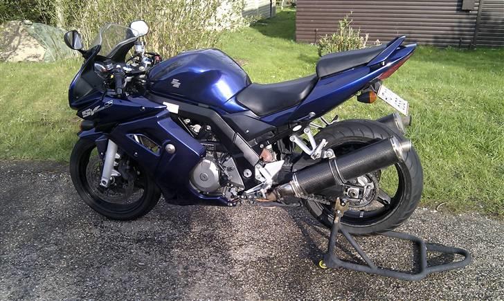 Suzuki SV1000S (solgt) billede 11