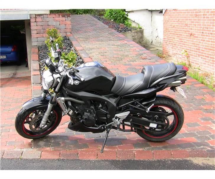 Yamaha FZ6-N billede 9