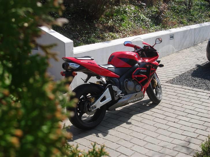 Honda CBR 600 RR billede 4