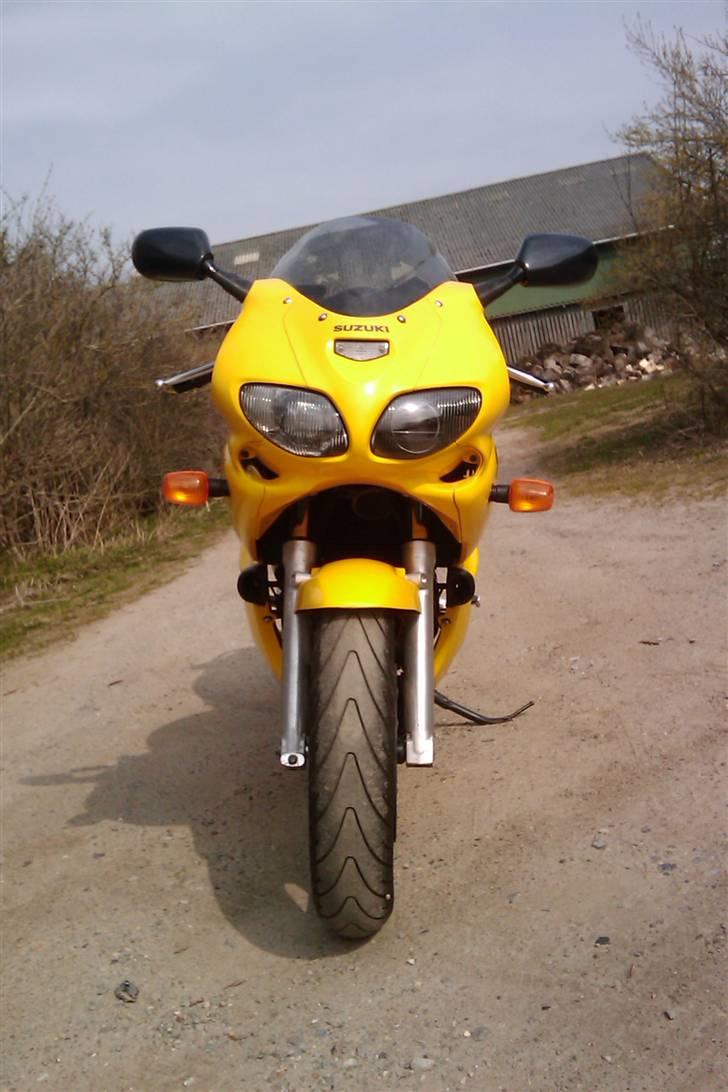 Suzuki SV 650 S billede 2