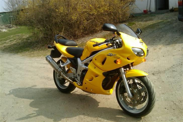 Suzuki SV 650 S billede 3