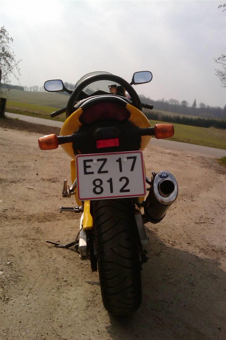 Suzuki SV 650 S billede 5