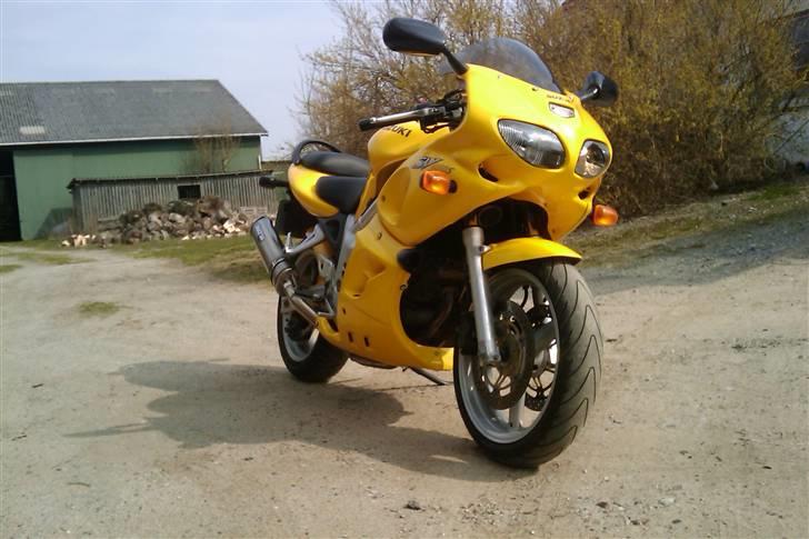 Suzuki SV 650 S billede 8