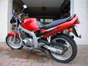 Suzuki Gs500E