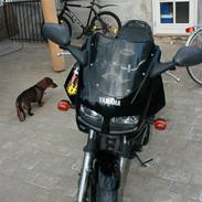 Yamaha FZS 600