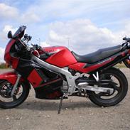 Suzuki GS 500 E