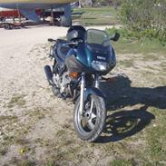 Yamaha XJ600 S Diversion