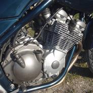 Yamaha XJ600 S Diversion