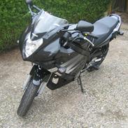 Suzuki GS 500 F