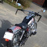 Jinlun hd 250
