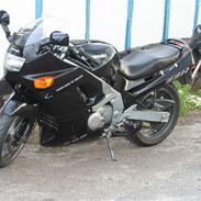 Kawasaki ZZR 600