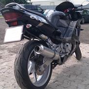 Honda CBR 600 PC31