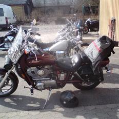 Honda vt 1100 shadow