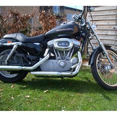 Harley Davidson XL 53 Custom, SOLGT