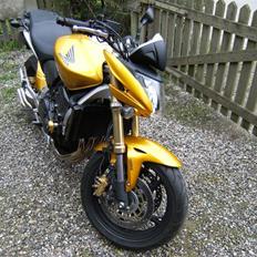 Honda CB 600 Hornet