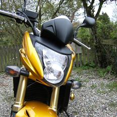 Honda CB 600 Hornet