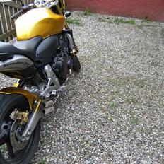 Honda CB 600 Hornet