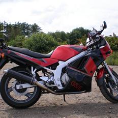Suzuki GS 500 E