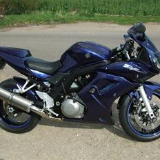 Suzuki SV1000S