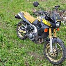 Yamaha TDR 250