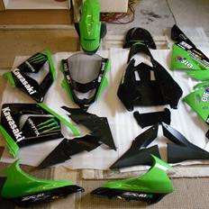 Kawasaki ZX10R Monster Energy