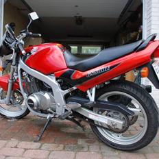 Suzuki Gs500E