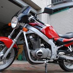 Suzuki Gs500E