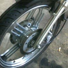 Regal Raptor Spyder 300cm