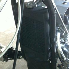 Regal Raptor Spyder 300cm