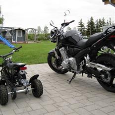 Suzuki Bandit GSF1250AK8