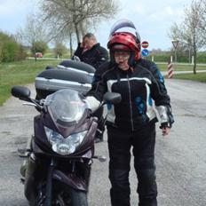 Suzuki Bandit GSF 1250SA