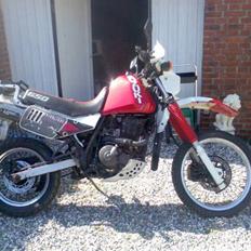 Suzuki DR 650 R