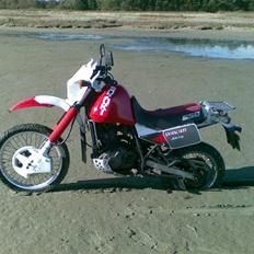 Suzuki DR 650 R