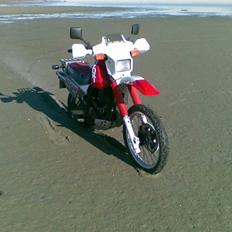 Suzuki DR 650 R