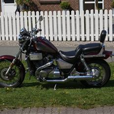 Honda VT 800 Shadow 