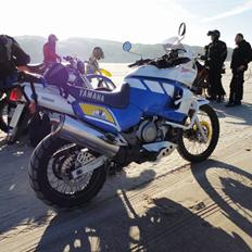 Yamaha XTZ  750 Super Tenere "Nete" 