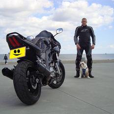 Suzuki SV 1000 S (Til Salg)