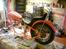 Triumph tiger 100 ss     - så er den blevet orange