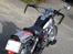 Jinlun hd 250