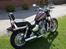 Honda VT 800 Shadow 