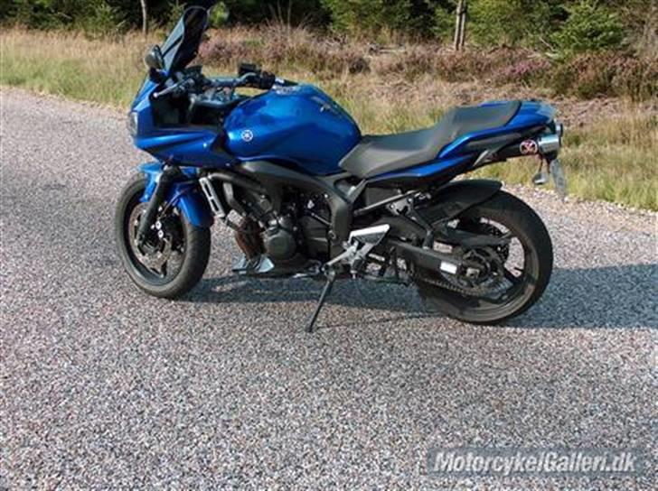 Yamaha Fz 6 s2 ABS billede 5